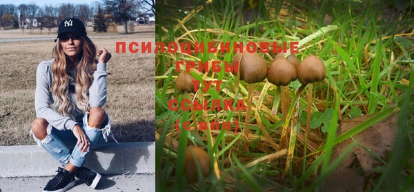 соль курить ск Гусиноозёрск