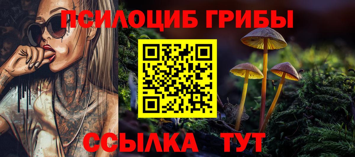 Псилоцибиновые грибы Magic Shrooms  Вход с VPN  Ярославль  Псилоцибиновые грибы ЛСД 